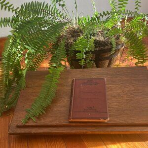 RARE 1887 "Mr. Midshipman Easy" | Warne's Crown Library | Antique Victorian HC